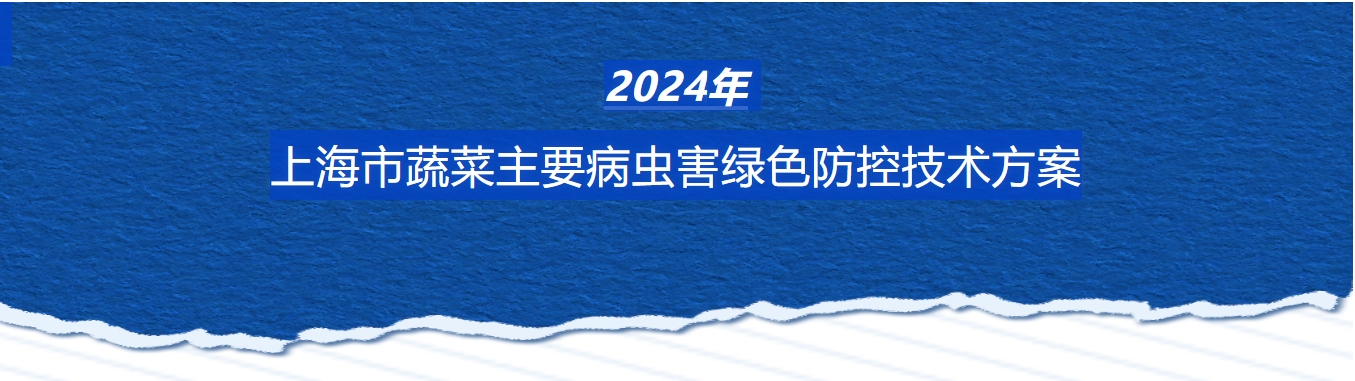 2024Ϻ߲Ҫ溦ɫؼ